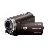 Sony HDR-CX350VE